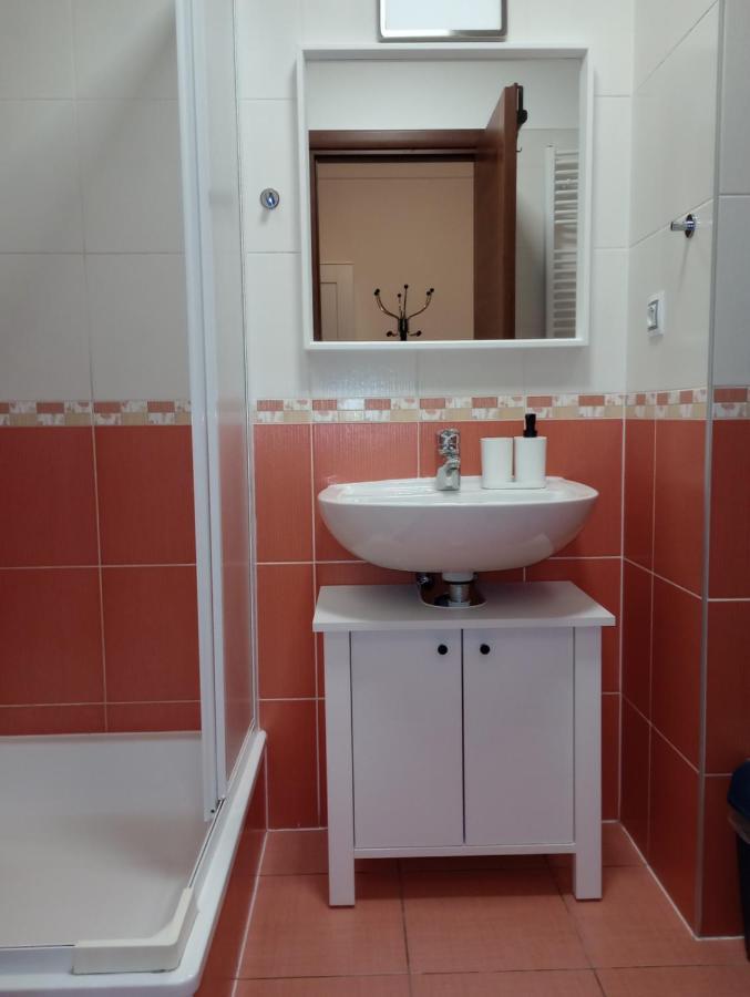 Apartman Rezidence Certovka 2121 Free Parking Garage Karlowe Wary Zewnętrze zdjęcie